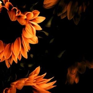 Meet your Posher, Shana